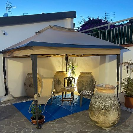 Casa Raffaela Hotel Marina Di Pisa Eksteriør billede